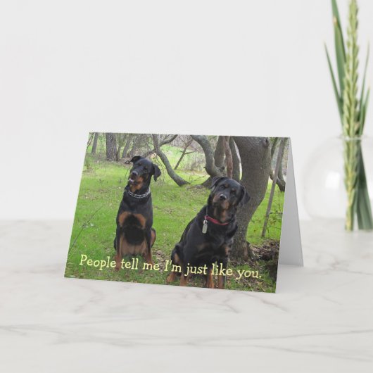 『お母さんのデイロットワイラー』 カード (正面)