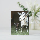 お母さんのヤギの郵便はがきとの新しいDoeling ポストカード (スタンド正面)