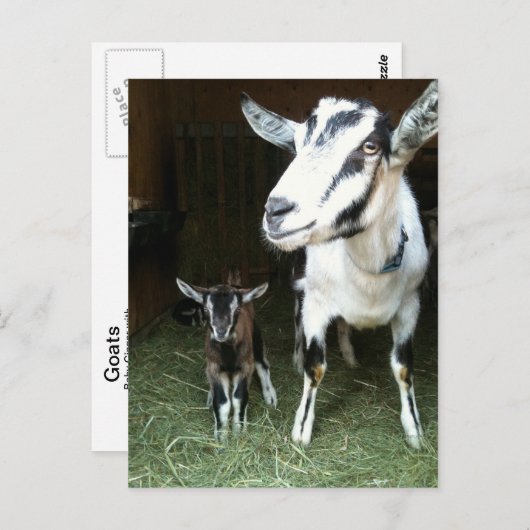 お母さんのヤギの郵便はがきとの新しいDoeling ポストカード (正面/裏面)