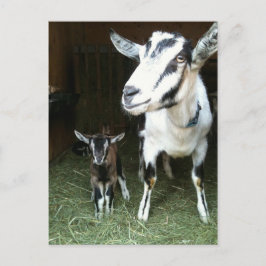 お母さんのヤギの郵便はがきとの新しいDoeling ポストカード
