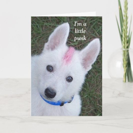 お母さんの少しパンク カード (正面)