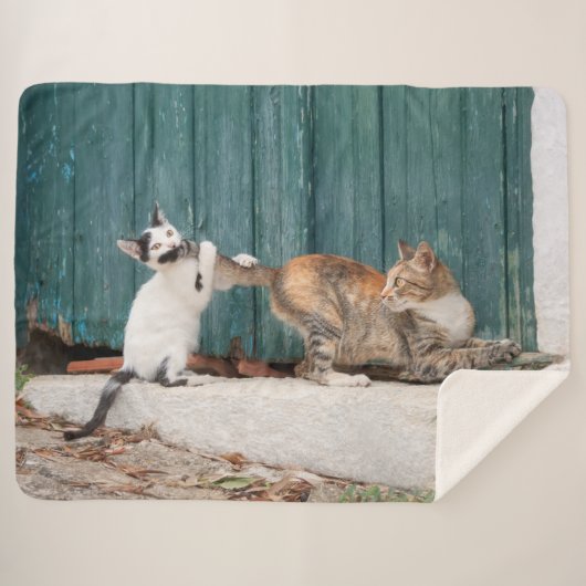 お母さんの尻尾を追いかけるかわいい子おもしろいネコの写真 –  シェルパブランケット (正面(横))