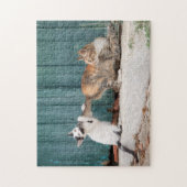 お母さんの尻尾を追いかけるかわいい子おもしろいネコの写真 –  ジグソーパズル (縦)