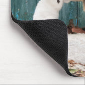 お母さんの尻尾を追いかけるかわいい子おもしろい猫の写真 マウスパッド (コーナー)