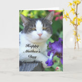 お母さんの日おめでとう猫おばあちゃん カード (黄色い花)