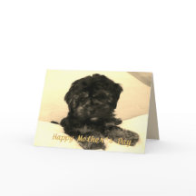 お母さんの日にかわいいベビー犬