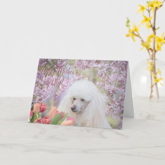 お母さんの日のおめでとう カード (黄色い花)