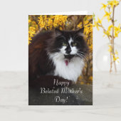 お母さんの日のおめでとう、猫のグリーティングカード カード (黄色い花)