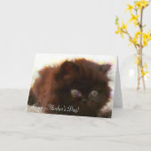 お母さんの日ペルシャ子猫のグリーティングカード カード (黄色い花)