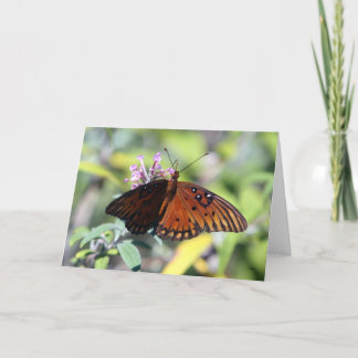 お母さんの選択、こんにちは カード