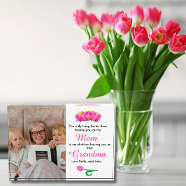 お母さんはおばあちゃんの方が良い フォトブロック