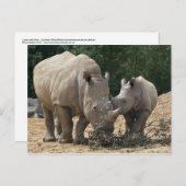 お母さんはがきランチ ポストカード (正面/裏面)