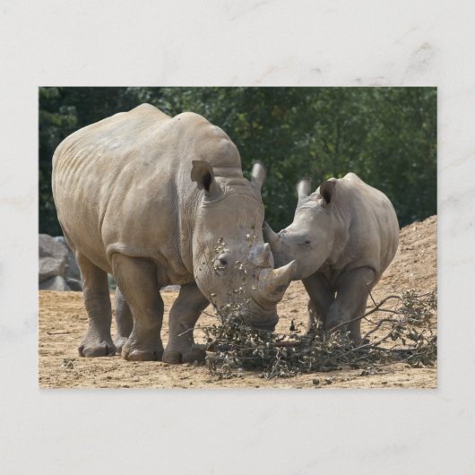 お母さんはがきランチ ポストカード (正面)