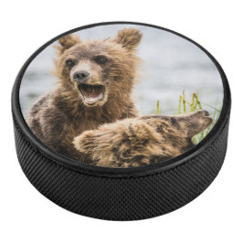 お母さんを探しているグリンズキューブ アイスホッケーパック