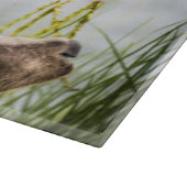 お母さんを探しているグリンズキューブ カッティングボード (角)