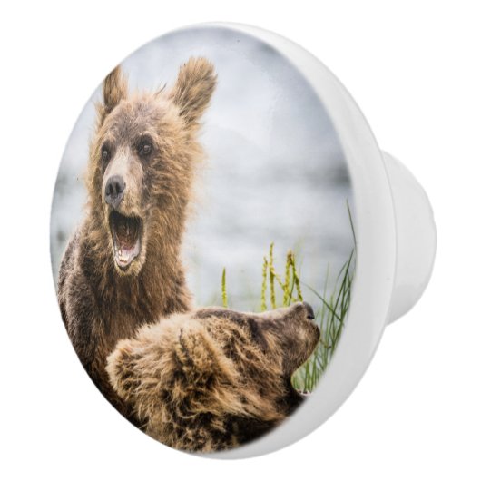 お母さんを探しているグリンズキューブ セラミックノブ (右)