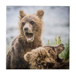 お母さんを探しているグリンズキューブ タイル