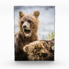 お母さんを探しているグリンズキューブ フォトブロック