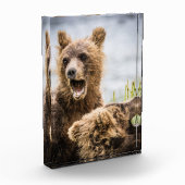 お母さんを探しているグリンズキューブ フォトブロック (左)