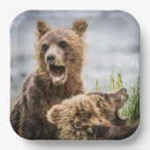 お母さんを探しているグリンズキューブ ペーパープレート (正面)