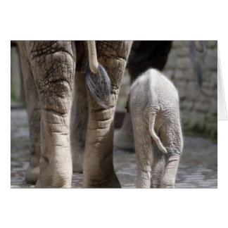 お母さん及びベビー