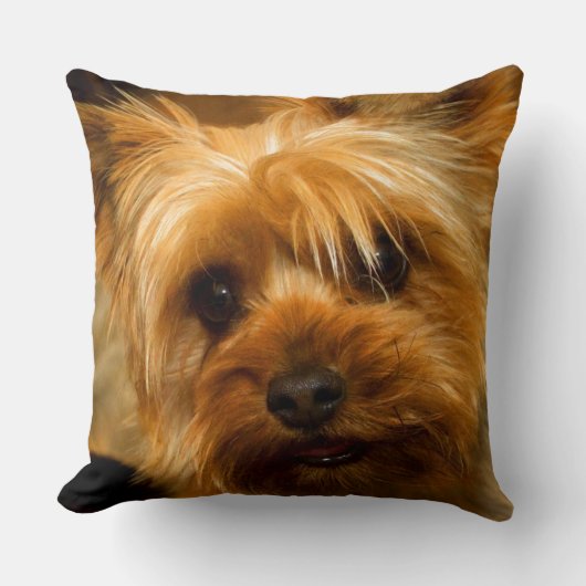 お母さん愛ヨークシャーテリアテリア犬のための待ち時間 クッション (正面)