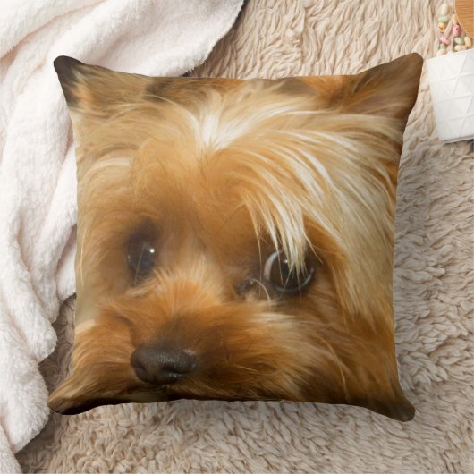 お母さん愛haley犬のヨークシャーテリアテリアを待って下さい クッション (ブランケット)