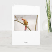 お母さん気にのナース カード (裏面)