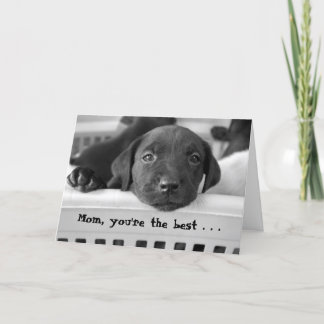 お母さん、あなたは最も最高のの… カード