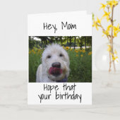 ***お母さん***「お嬢さん」になれて嬉しい誕生日 カード (黄色い花)