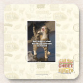 お母さん! コースター (正面)