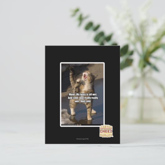 お母さん！ ポストカード (スタンド正面)