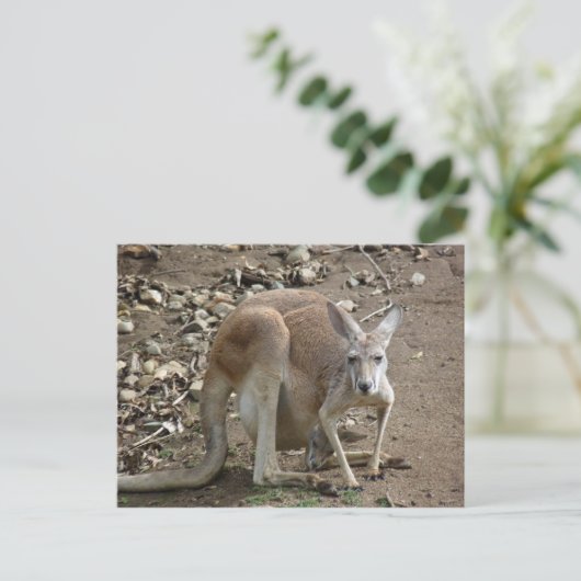 お母さん ポストカード (スタンド正面)