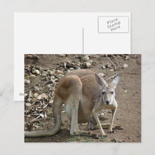 お母さん ポストカード (正面/裏面)