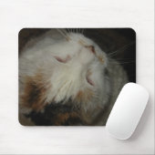 お母さん、寝てるよ！！猫のマウスパッド マウスパッド (マウス)