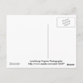 お母さん、来てるのは分かってる ポストカード (裏面)