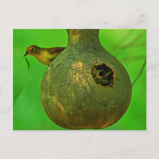 お母さん、来てるのは分かってる ポストカード (正面)