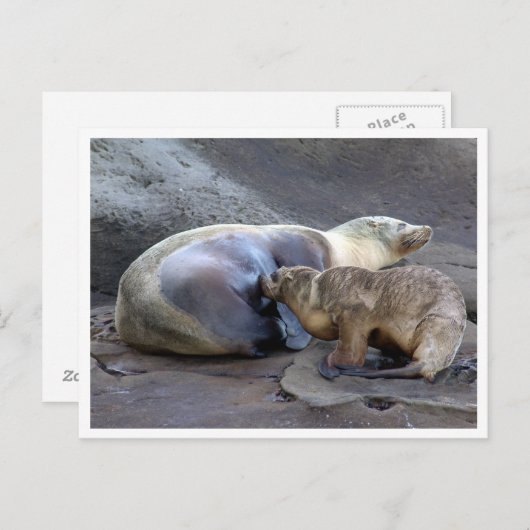 お母様と介護用はがき ポストカード (正面/裏面)