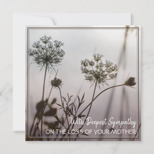 お母様の死に深い悔やみや弔慰を持って (正面)