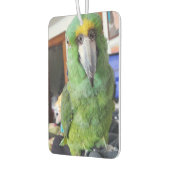 お気に入りのインコ、鳥の写真をこれらに追加 カーエアーフレッシュナー (左)