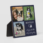 お気に入りのハローカスタムペットドッグメモリアル3枚の写真 フォトプラーク (正面)