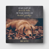 お気に入りのペットメモリアル - 最愛のペットへの美しい追悼 フォトプラーク (正面)