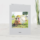お気に入りのペット2枚の写真入りバースデーグッズ カード (裏面)