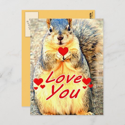 お気に入りのポストカード(_P) ポストカード (正面/裏面)