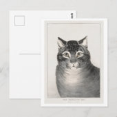 お気に入りの猫(1838–48)リトグラフ ポストカード (正面/裏面)