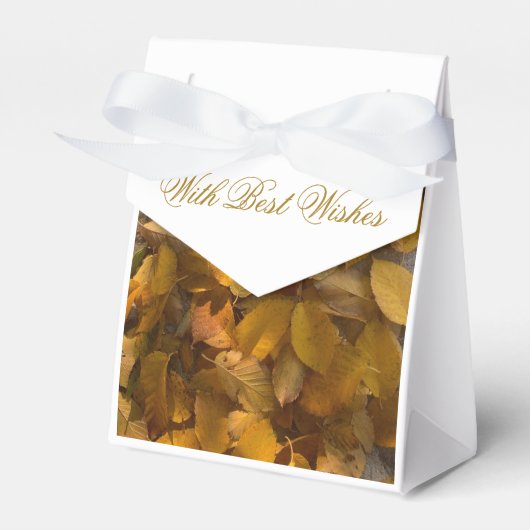 お気に入りの秋(1) フェイバーボックス (正面サイド)