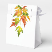 お気に入りの箱に入ったシルバーメープル フェイバーボックス (裏面サイド)