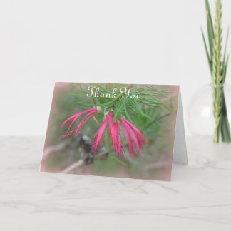 お気に入りの花 サンキューカード