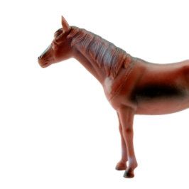 お気に入りの馬 Tシャツ