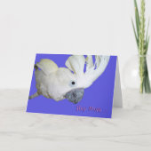 お気に入りの カード (正面)